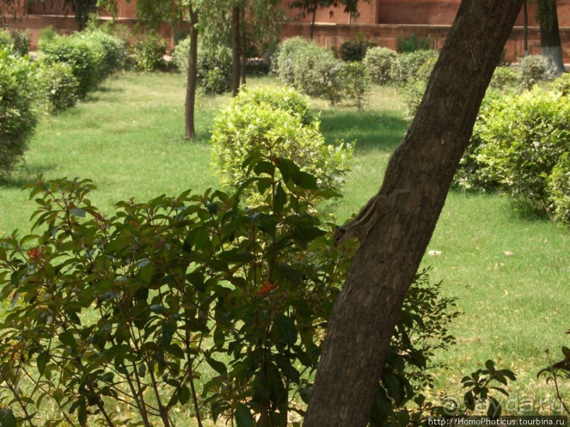 Сокровища Агры