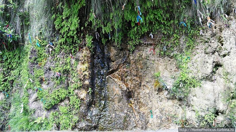 Вверх по Бзыби