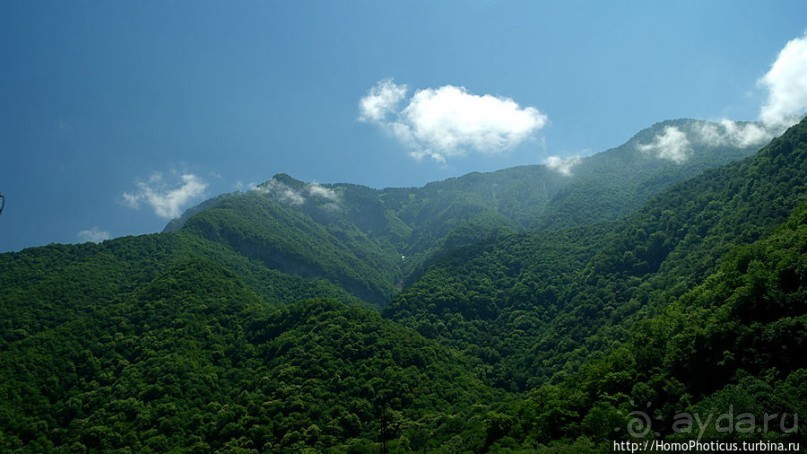 Вверх по Бзыби