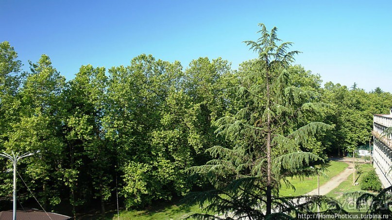 Вверх по Бзыби Вверх по Бзыби