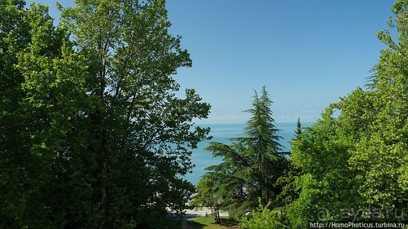 Вверх по Бзыби Вверх по Бзыби