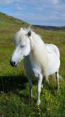 Большая горячая ледяная земля. 1. Южные горизонты