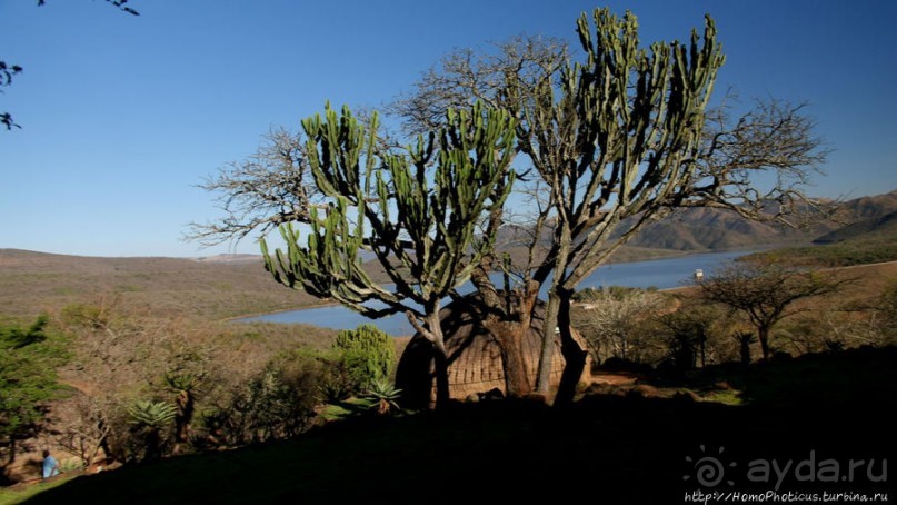 Альбом отзыва "Чакаленд: национальные зулусские развлечения"