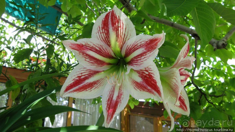 Экспресс-Кипр: Пафос, Киккос, Троодос