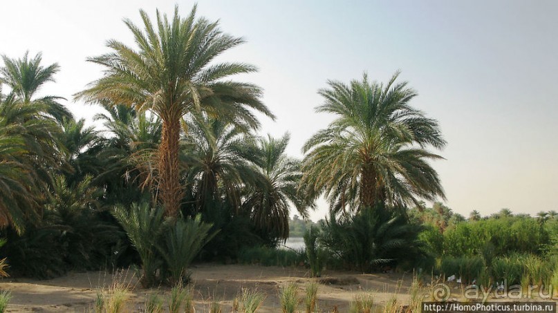 Третий порог Нила: древняя каменоломня и иероглифы