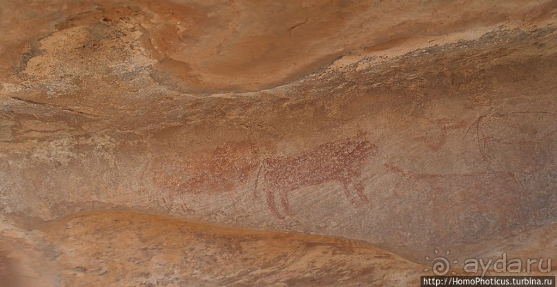 Страна камня