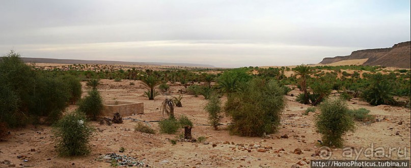 Страна камня