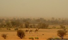 Северный Судан: царство черных фараонов