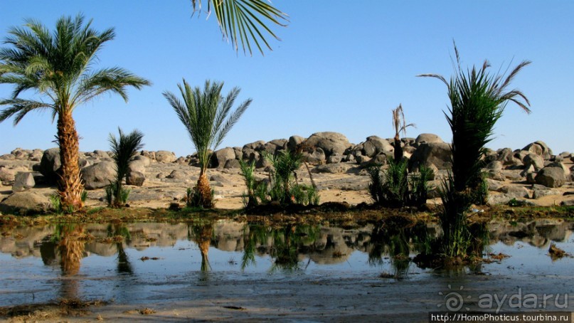 Северный Судан: царство черных фараонов
