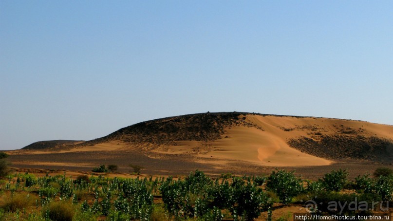 Северный Судан: царство черных фараонов