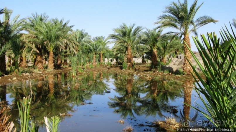 Северный Судан: царство черных фараонов