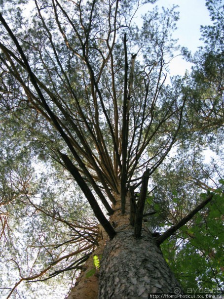 Приокские красоты: Серпухов и Таруса