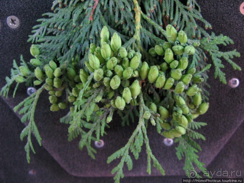 Приокские красоты: Серпухов и Таруса