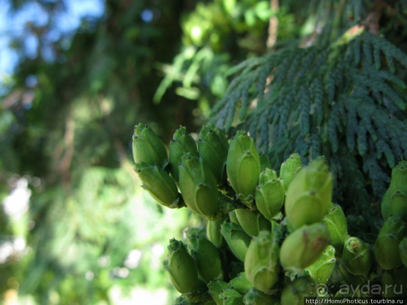 Приокские красоты: Серпухов и Таруса