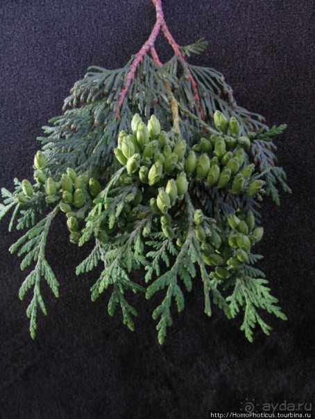 Приокские красоты: Серпухов и Таруса