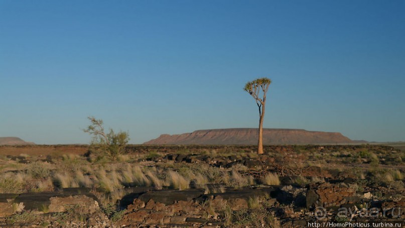 Пешком по холмам