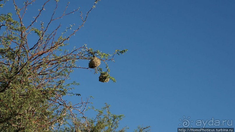 Пешком по холмам