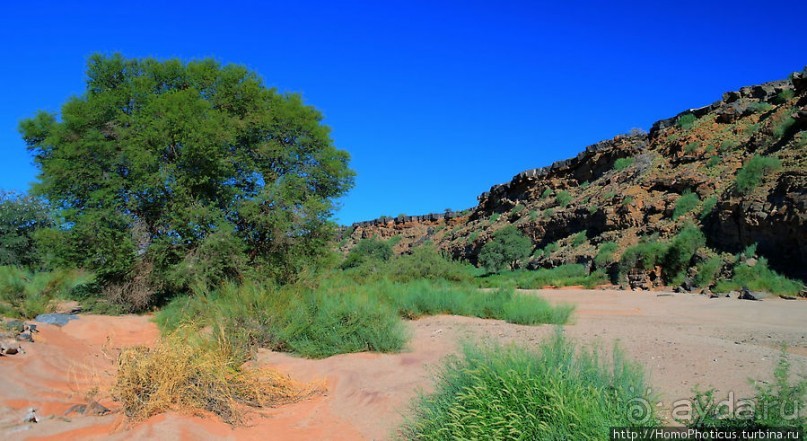 Пешком по холмам