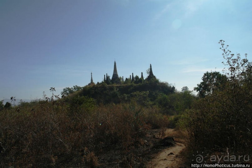 Золото мелкого озера