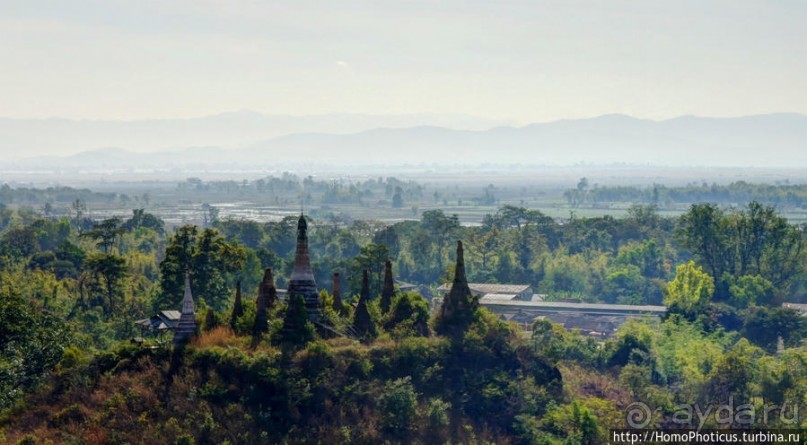 Золото мелкого озера