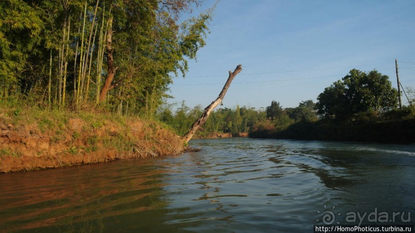 Золото мелкого озера