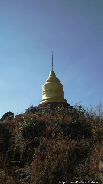 Золото мелкого озера