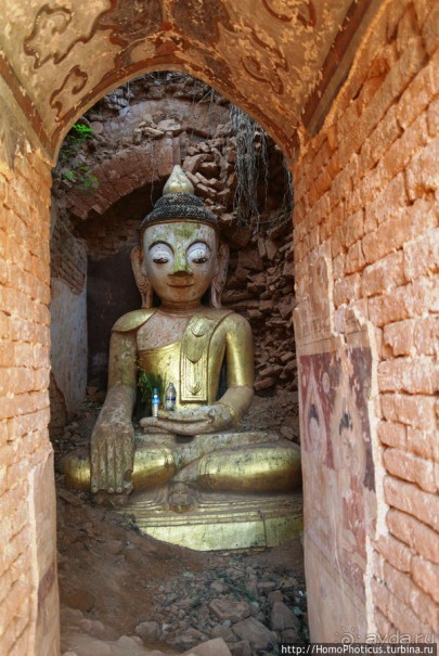 Золото мелкого озера