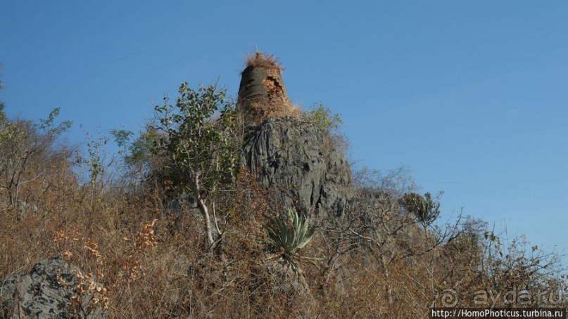 Золото мелкого озера