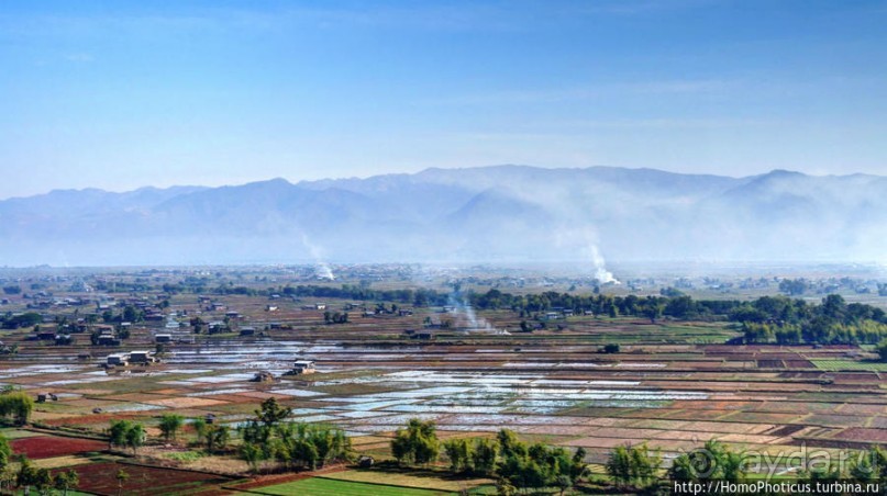 Золото мелкого озера