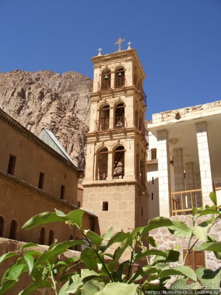 Самое-самое в Синае: в гостях у Катерины