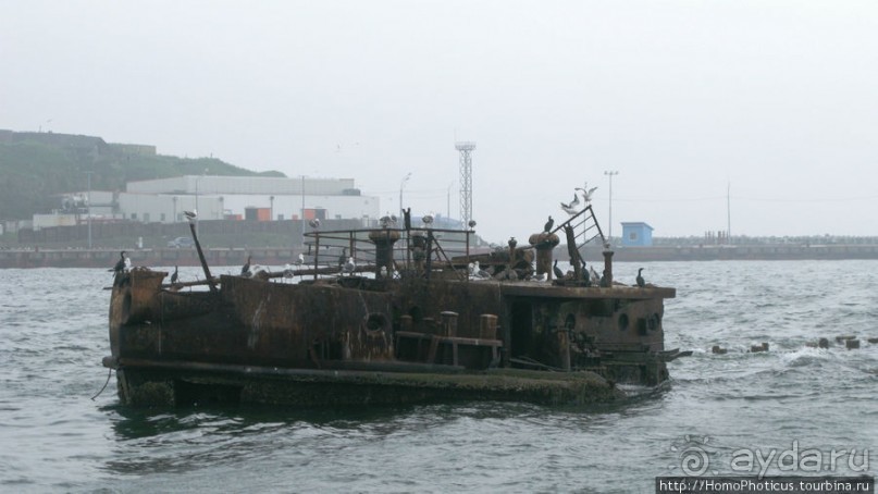 Туман и сера