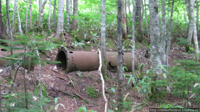 Туман и сера