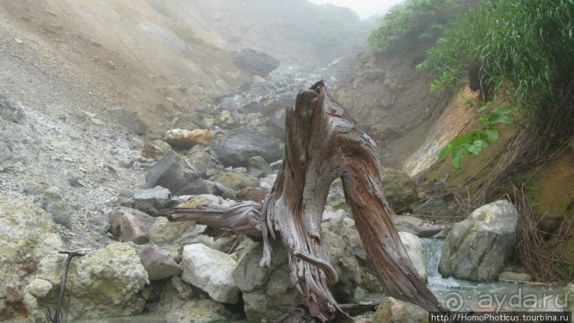 Туман и сера