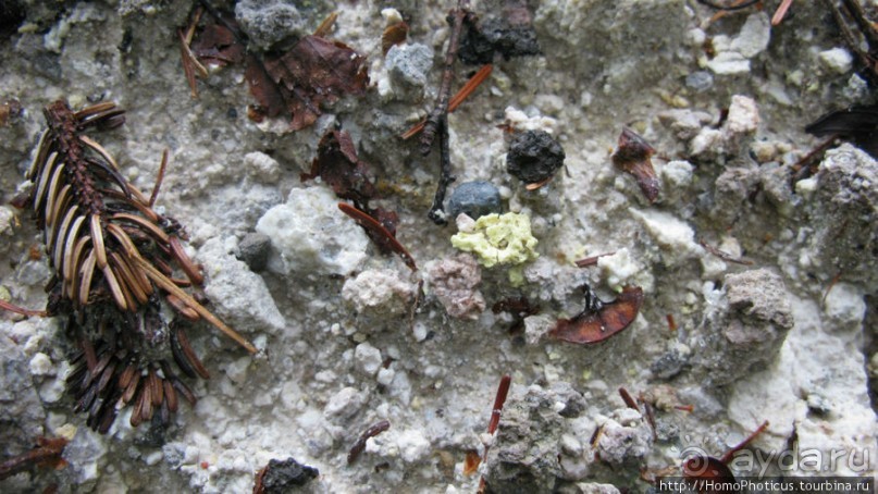 Туман и сера