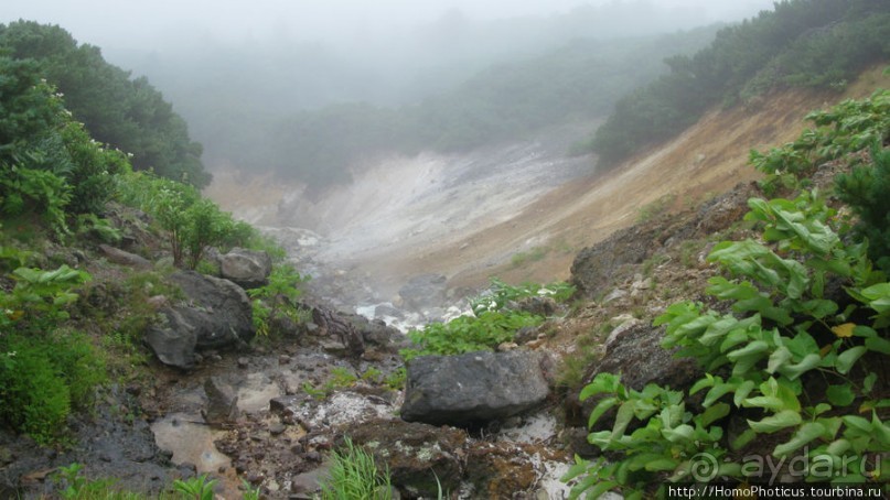 Туман и сера