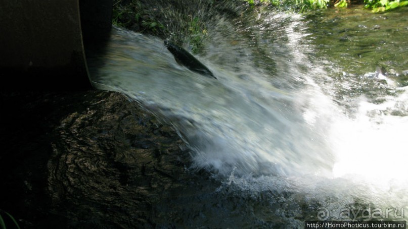 Каменный Великан