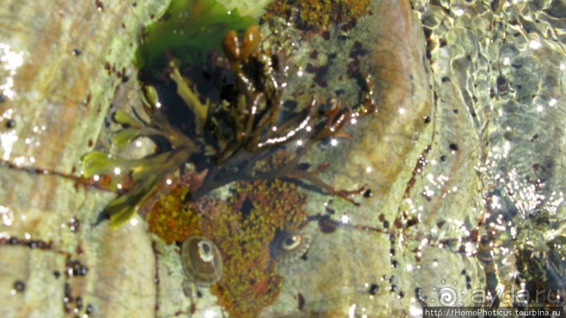 Каменный Великан