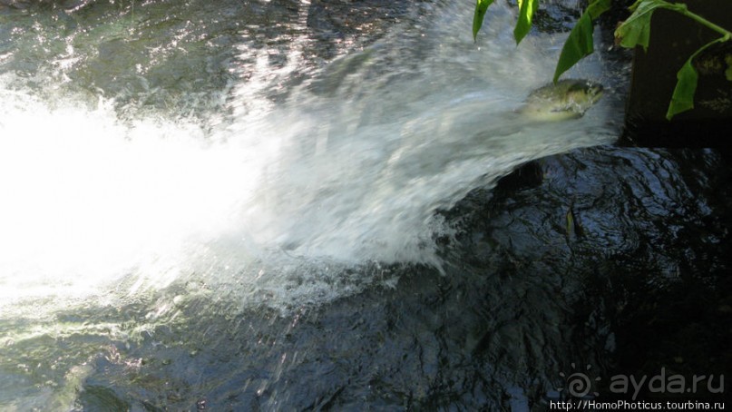 Каменный Великан