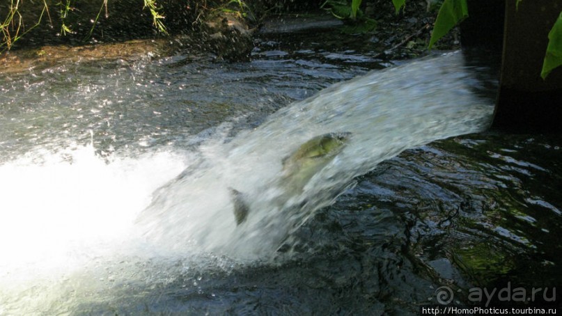 Каменный Великан