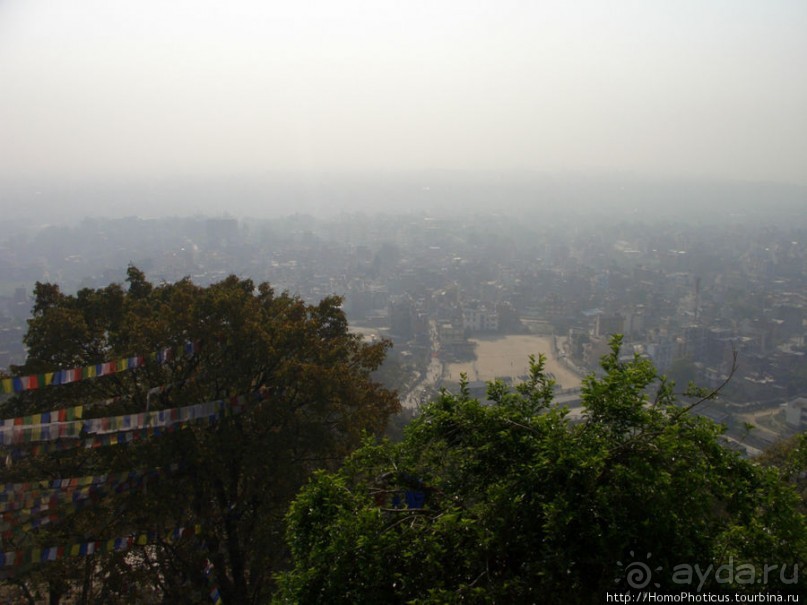 Десять миллионов богов