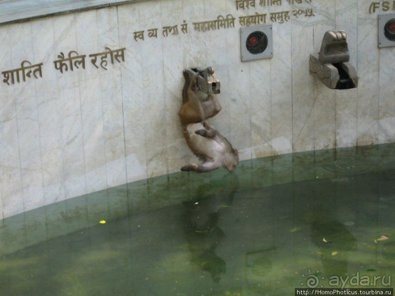 Десять миллионов богов