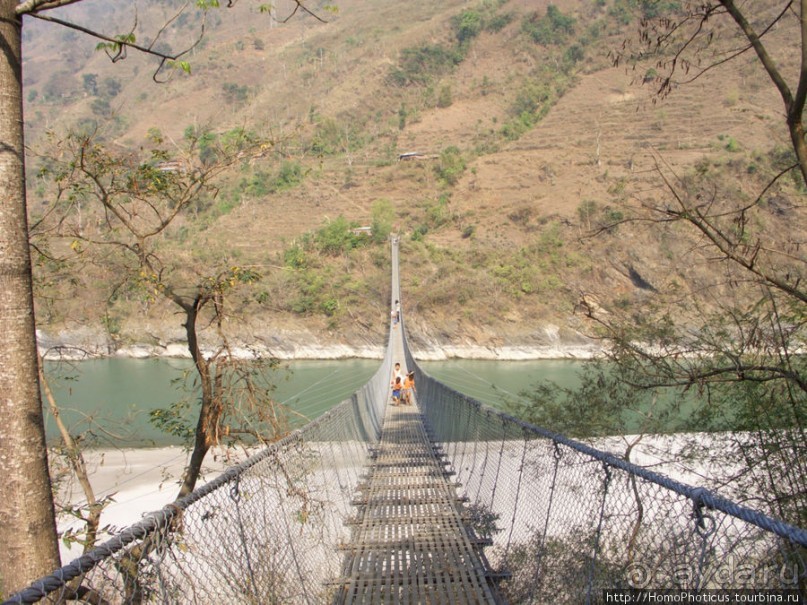 Десять миллионов богов