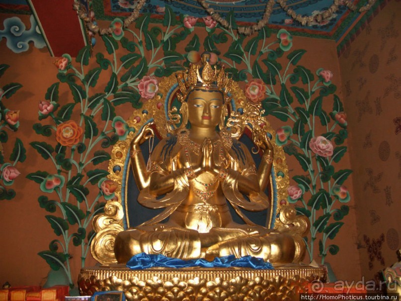 Десять миллионов богов