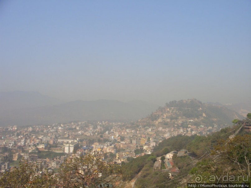 Десять миллионов богов