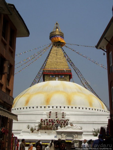 Десять миллионов богов