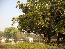 Десять миллионов богов