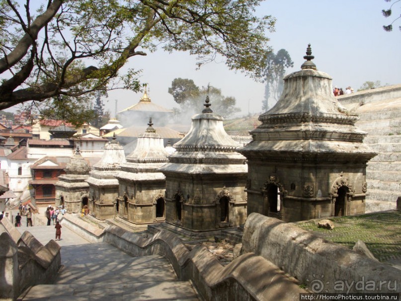 Десять миллионов богов