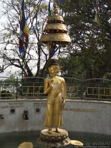 Десять миллионов богов