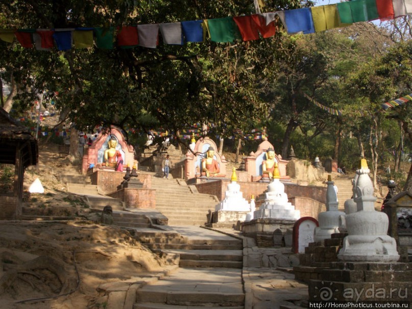 Десять миллионов богов