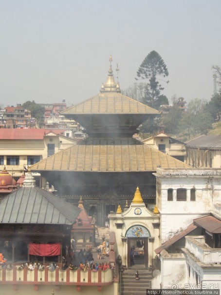 Десять миллионов богов